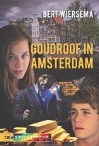 goudroof-in-amsterdam