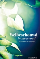 welbeschouwd-in-meervoud