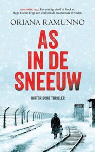 as-in-de-sneeuw