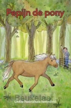 pepijn-de-pony